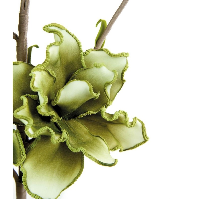 MAGNOLIA GRANDIFLORA VERDE