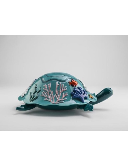 Tartaruga Margot Biscay e Acquamarina – Bosa