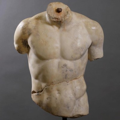 TORSO DISCOPHORUS