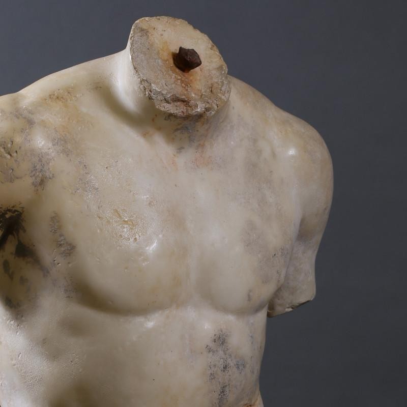 TORSO DISCOPHORUS