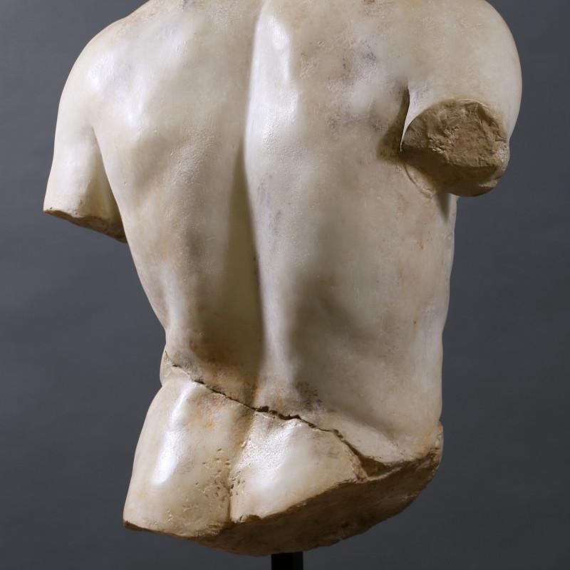 TORSO DISCOPHORUS