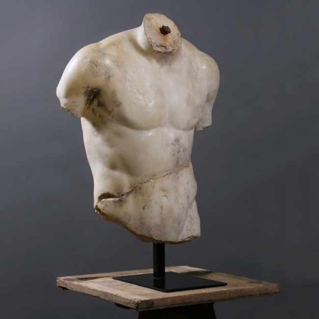 TORSO DISCOPHORUS