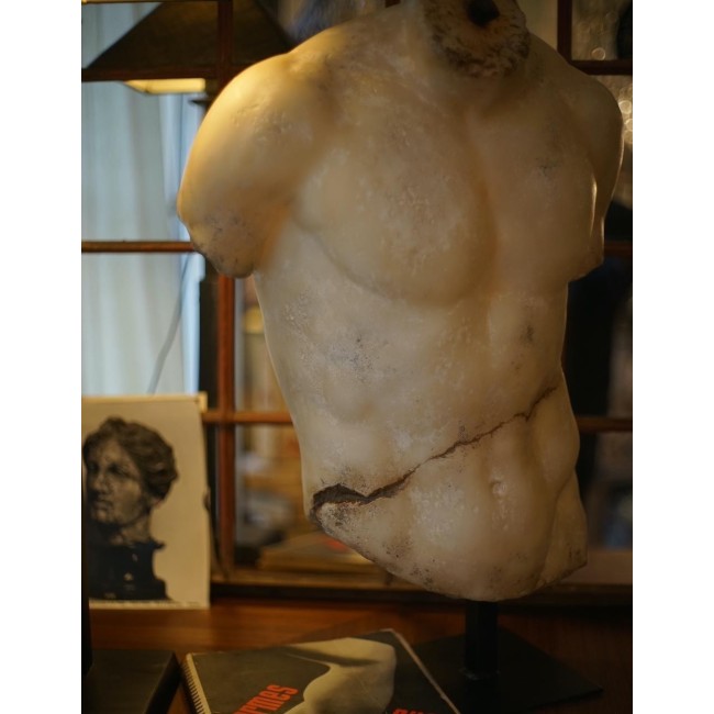 TORSO DISCOPHORUS