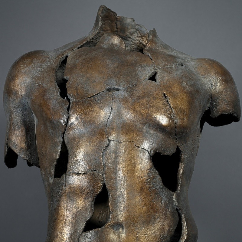 FRAMMNETO HERMES - GOLDEN BRONZE