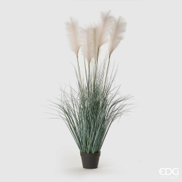 EDG Pampas West artificiale con vaso alta 140 cm