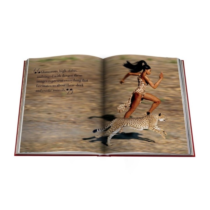 Assouline Libro Cartier Panthère con cofanetto