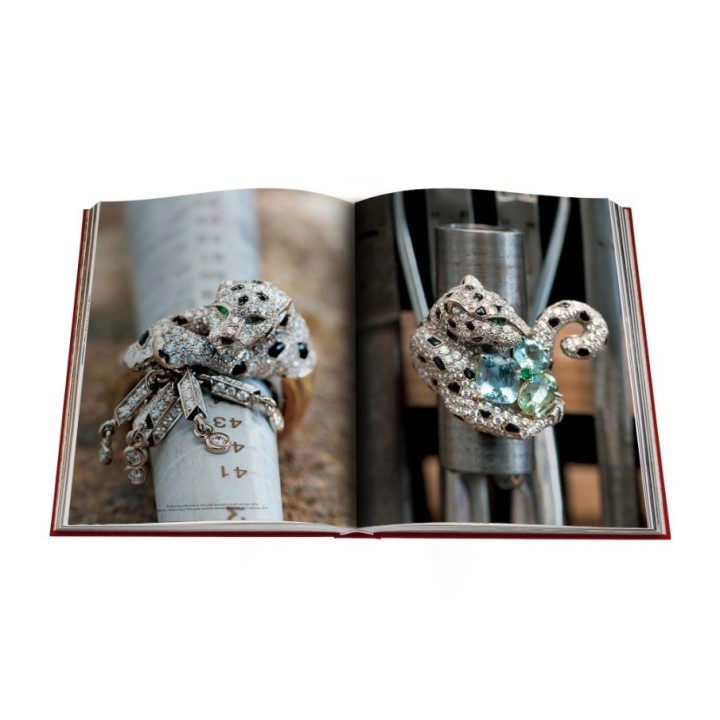 Assouline Libro Cartier Panthère con cofanetto