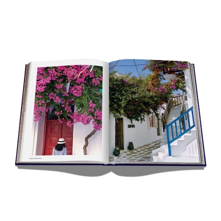 Assouline Libro Mykonos Muse copertina in seta