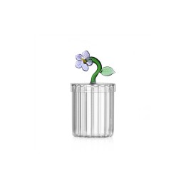 Ichendorf Milano Scatola ottica Botanica fiore lilla