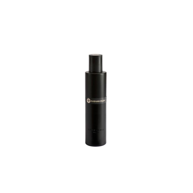DIFF.SPRAY KASHAN OUDH 100 ML SKYLINE