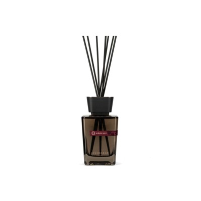 DIFF. LEGNO KLINTO 1817 500ML SKYLINE