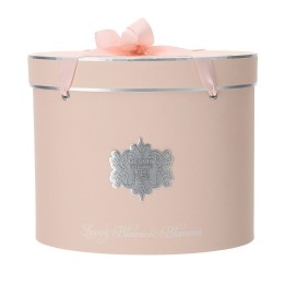 Hervit Creations Cappelliera ovale rosa e argento