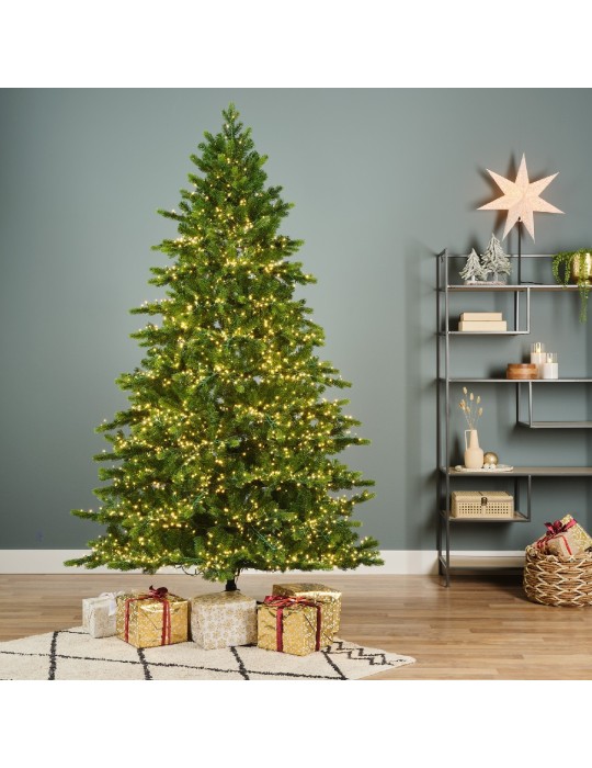 GALLOWAY SPRUCE LED H240