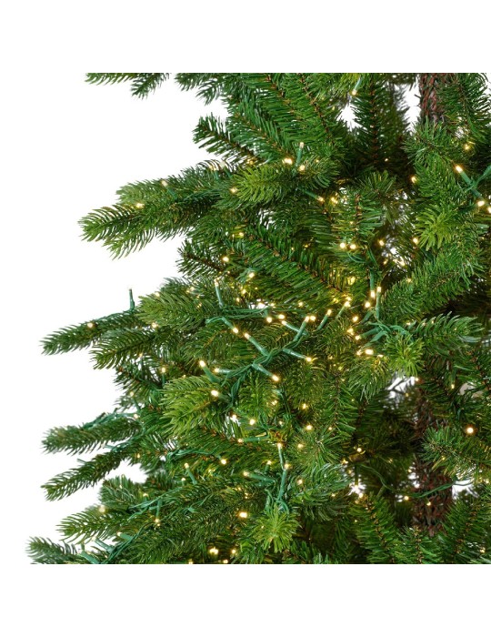 GALLOWAY SPRUCE LED H240