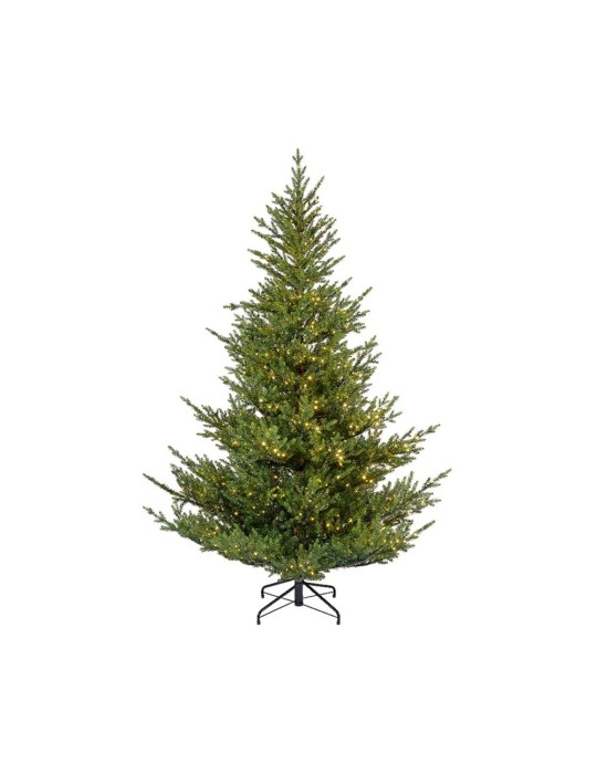 NORWAY SPRUCE MICRO LED H.240