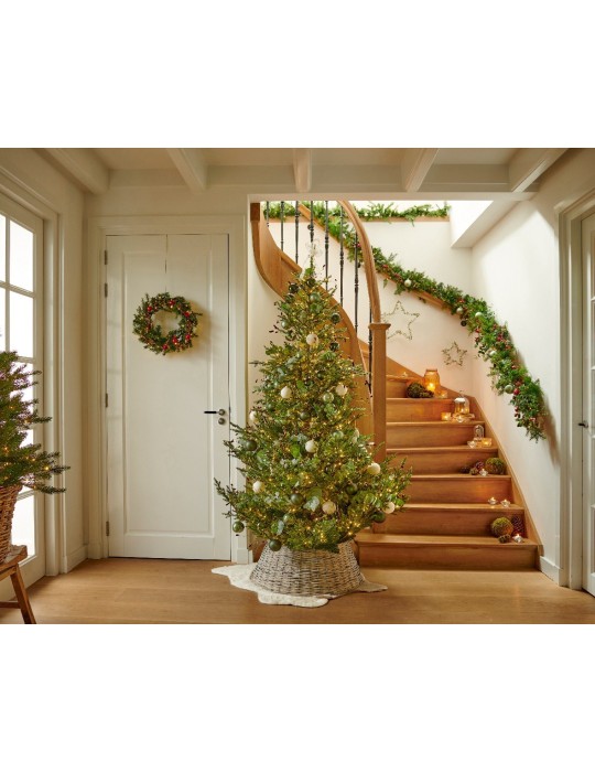 NORWAY SPRUCE MICRO LED H.240