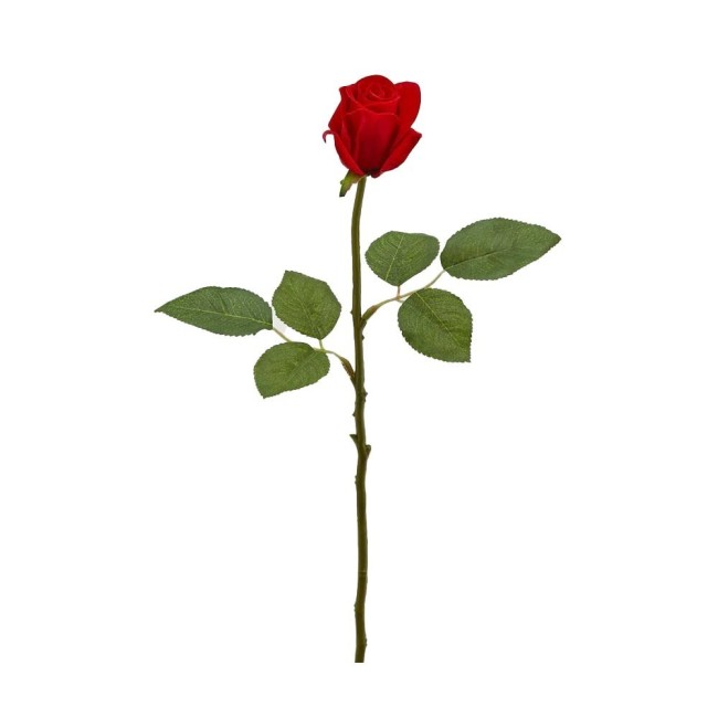 ROSA VELL. REAL RAMO H46