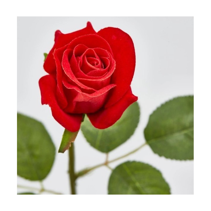EDG Rosa artificiale in velluto Real alta 46 cm