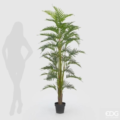 Enzo De Gasperi palma Areca artificiale con vaso H180cm