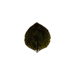 Costa Nova Foglia di ortensia Riviera verde 17,2 × 15 cm