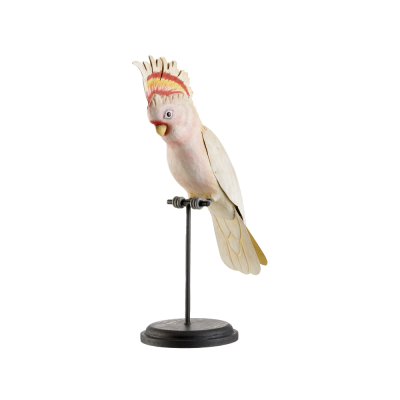 CACATUA DI LEADBEATER DECORATIVO