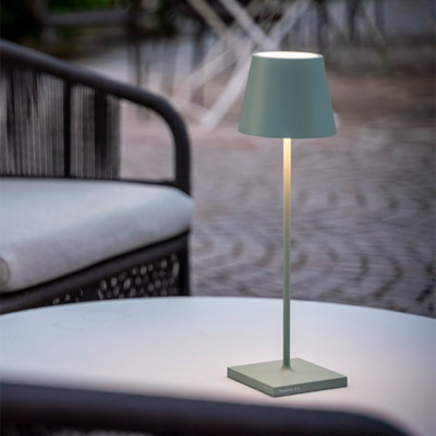 POLDINA PRO TAVOLO SALVIA  H38 2