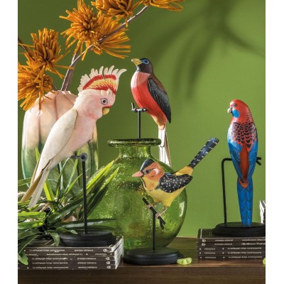 CACATUA DI LEADBEATER DECORATIVO 2