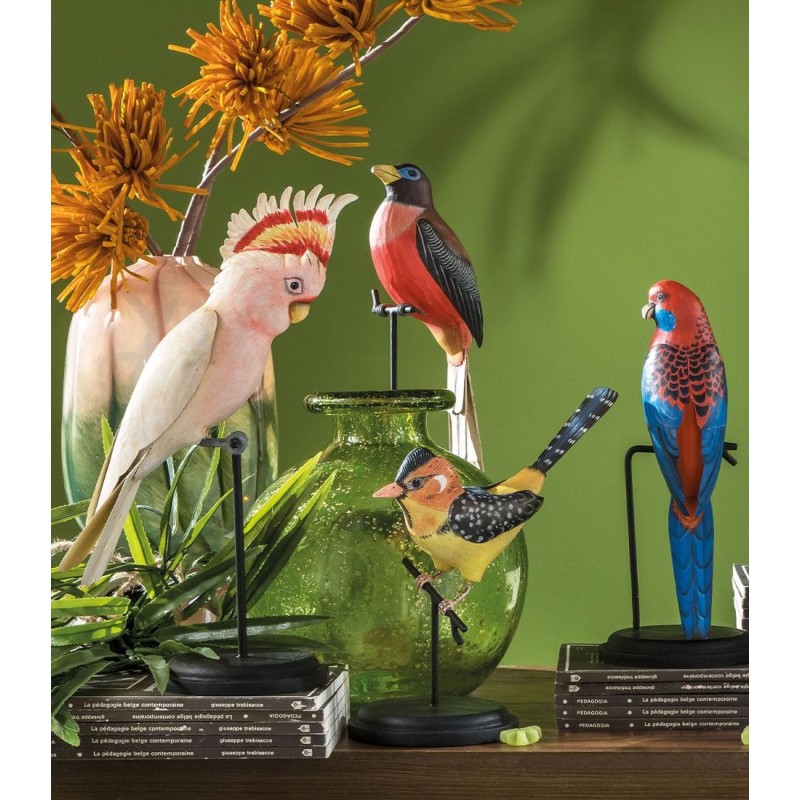 CACATUA DI LEADBEATER DECORATIVO