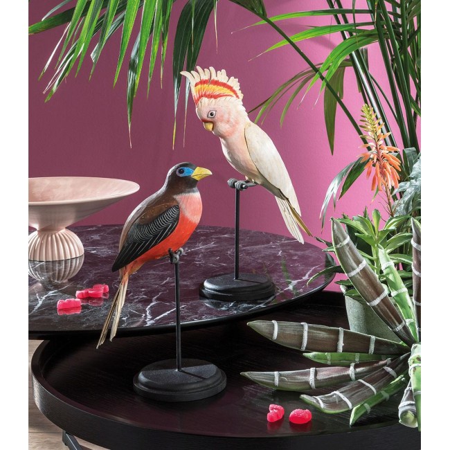 CACATUA DI LEADBEATER DECORATIVO
