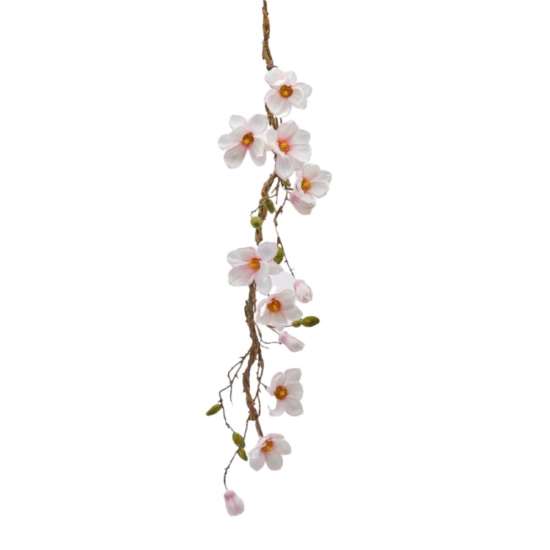 MAGNOLIA OLIS TRALCIO