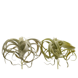 EDG Enzo De Gasperi Tillandsia artificiale West alta 27 cm