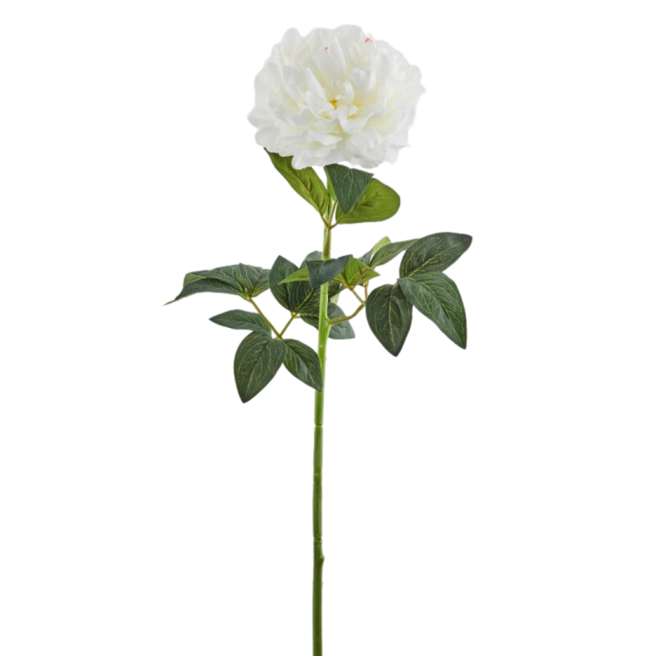 EDG Ramo artificiale di peonia Real alto 72 cm