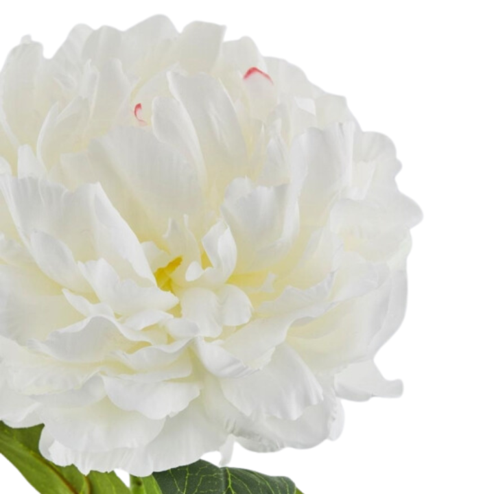 EDG Ramo artificiale di peonia Real alto 72 cm