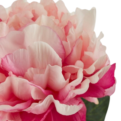 PEONIA REAL RAMO H72 2