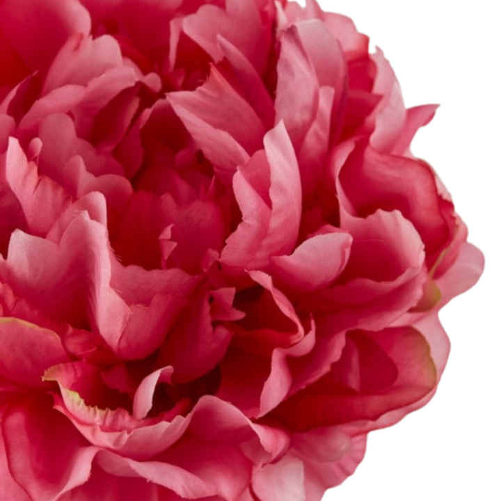 PEONIA REAL RAMO H72