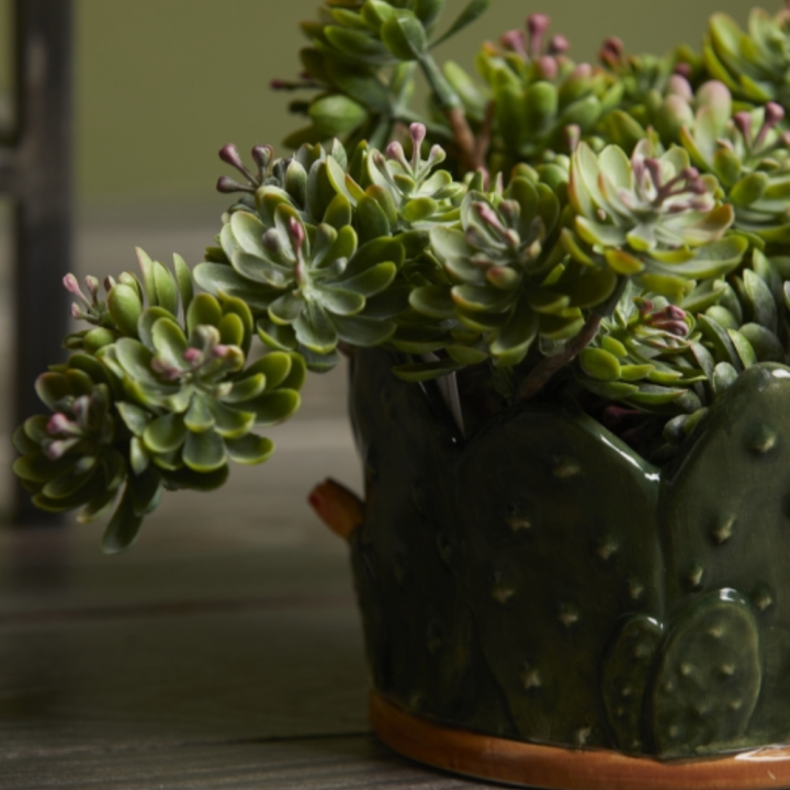 EDG Pick di crassula ovata Bell artificiale alto 12 cm