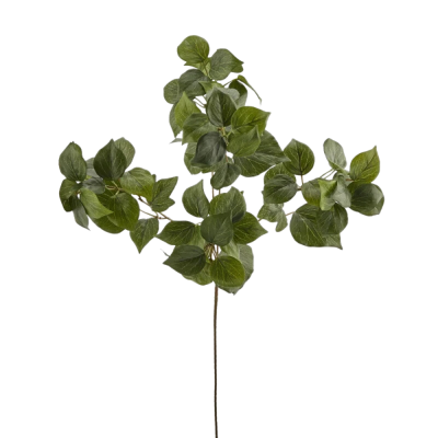 Ramo di Edera West Artificiale H.60 cm Verde - EDG Enzo...