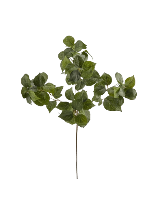 Ramo di Edera West Artificiale H.60 cm Verde - EDG Enzo De Gasperi