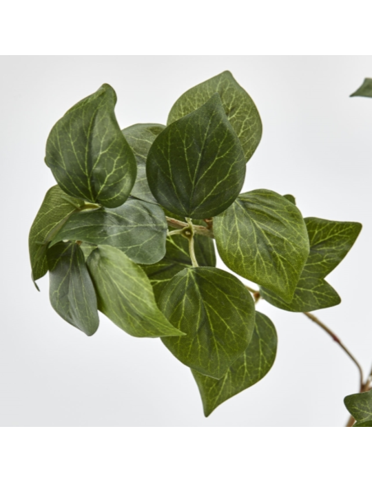 Ramo di Edera West Artificiale H.60 cm Verde -...
