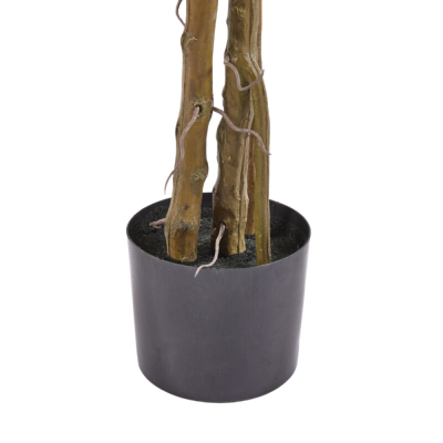 MONSTERA SLIM C/VASO H 130 2