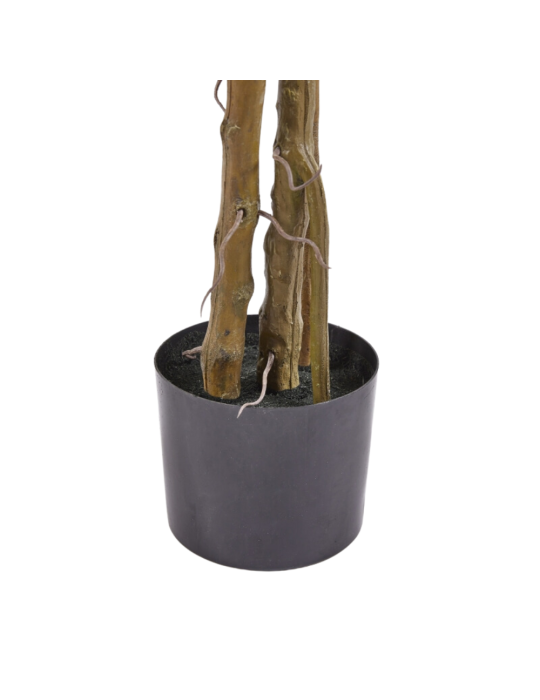 MONSTERA SLIM C/VASO H 130
