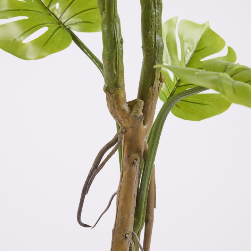 MONSTERA SLIM C/VASO H 130