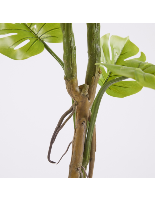 MONSTERA SLIM C/VASO H 130