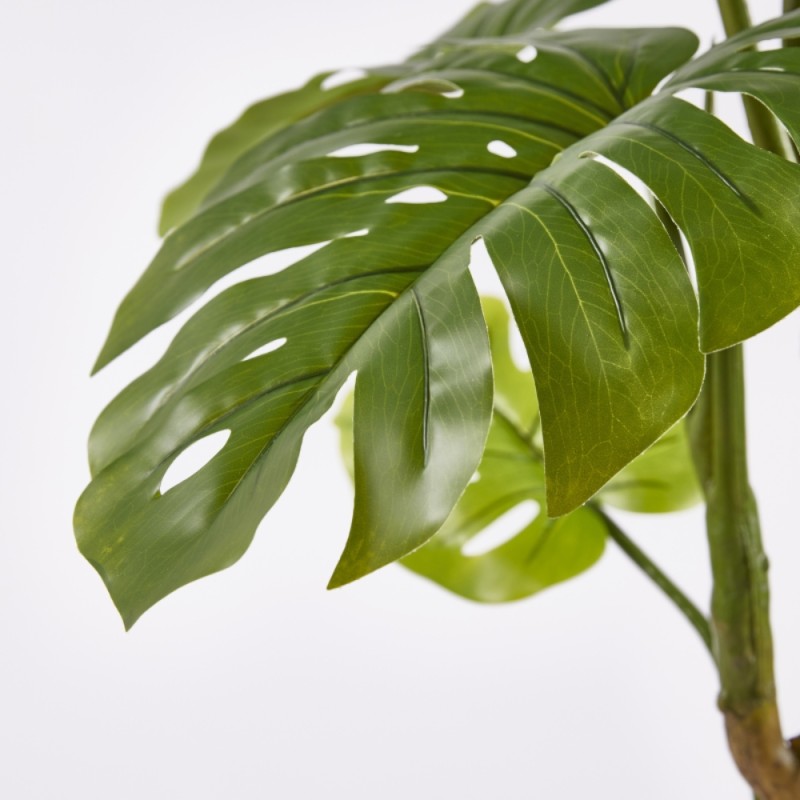 MONSTERA SLIM C/VASO H 130