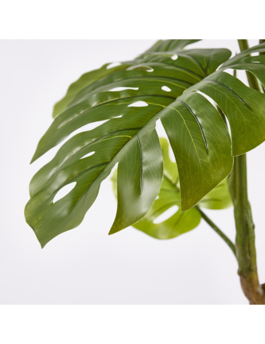 MONSTERA SLIM C/VASO H 130