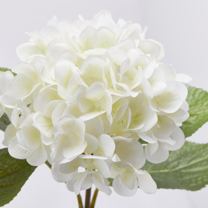 EDG Ortensia Nobile ramo artificiale alto 60 cm