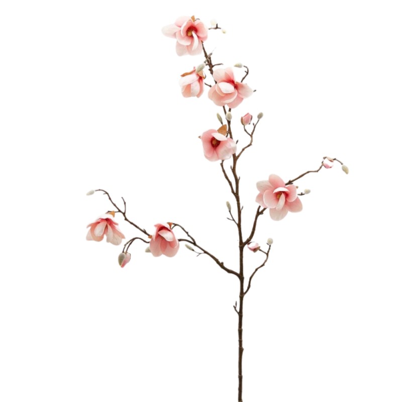 MAGNOLIA STELL. RAMO H120