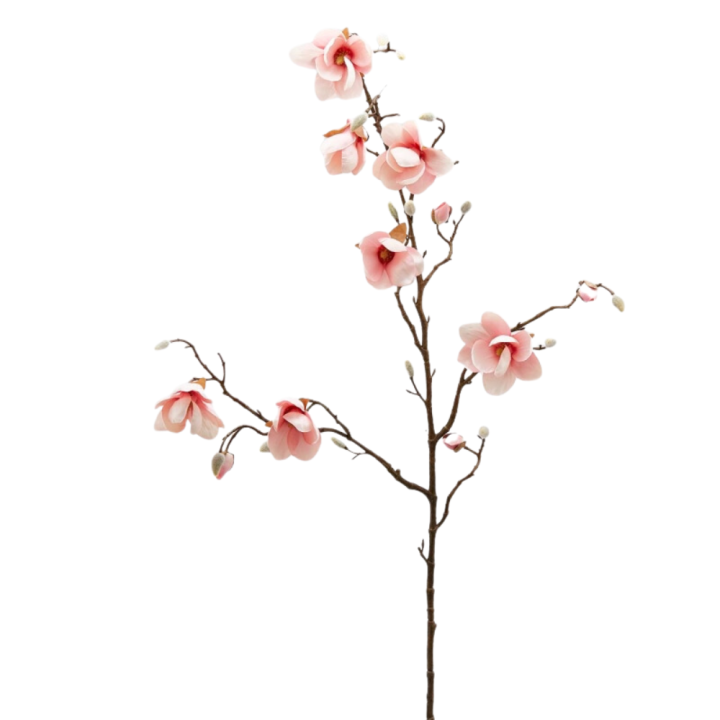 EDG Ramo artificiale di magnolia stellata alto 120 cm