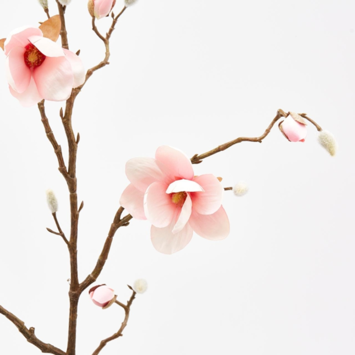 EDG Ramo artificiale di magnolia stellata alto 120 cm