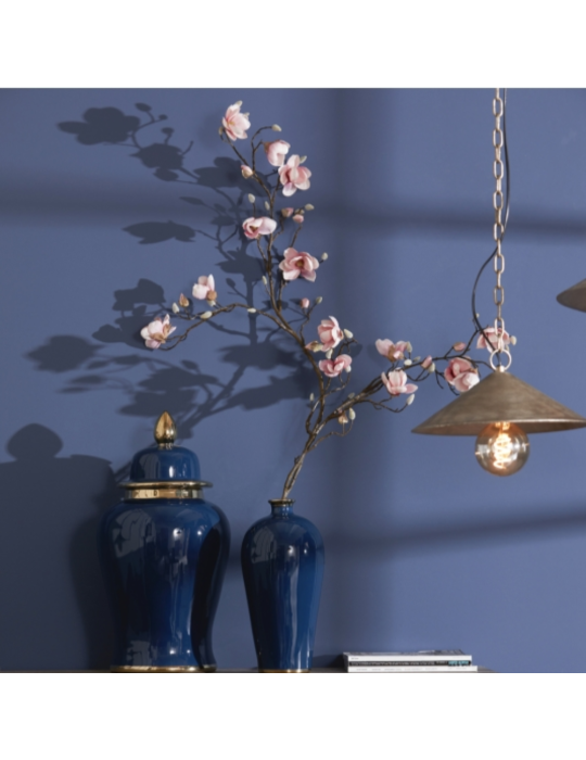 MAGNOLIA STELL. RAMO H120